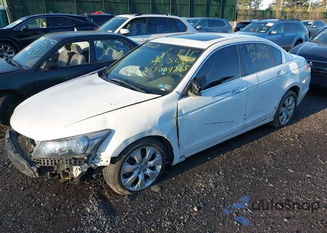 2010 Honda Accord 3.5 Ex-L из США, поврежденный, VIN 1HGCP3F8XAA016985
